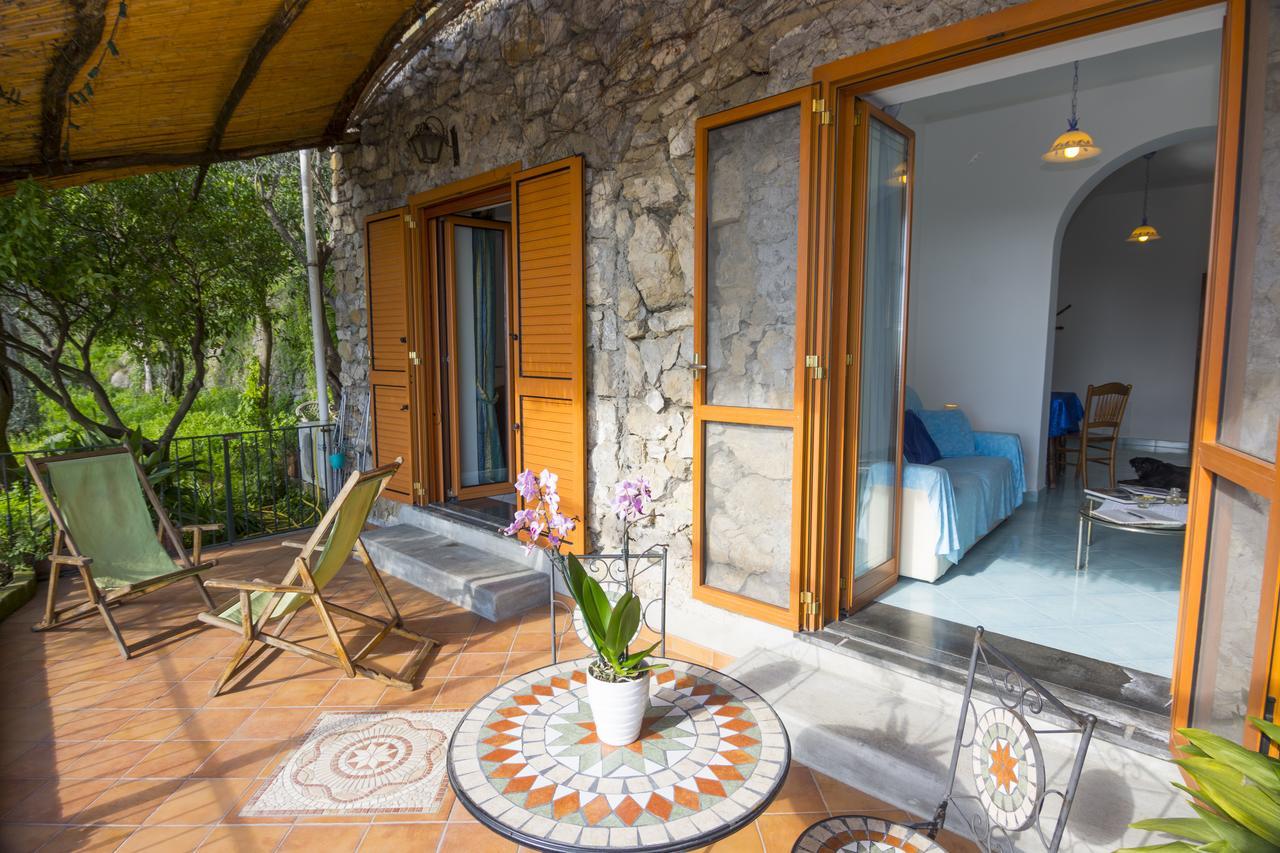 Le Nereidi B&B Positano Exterior foto